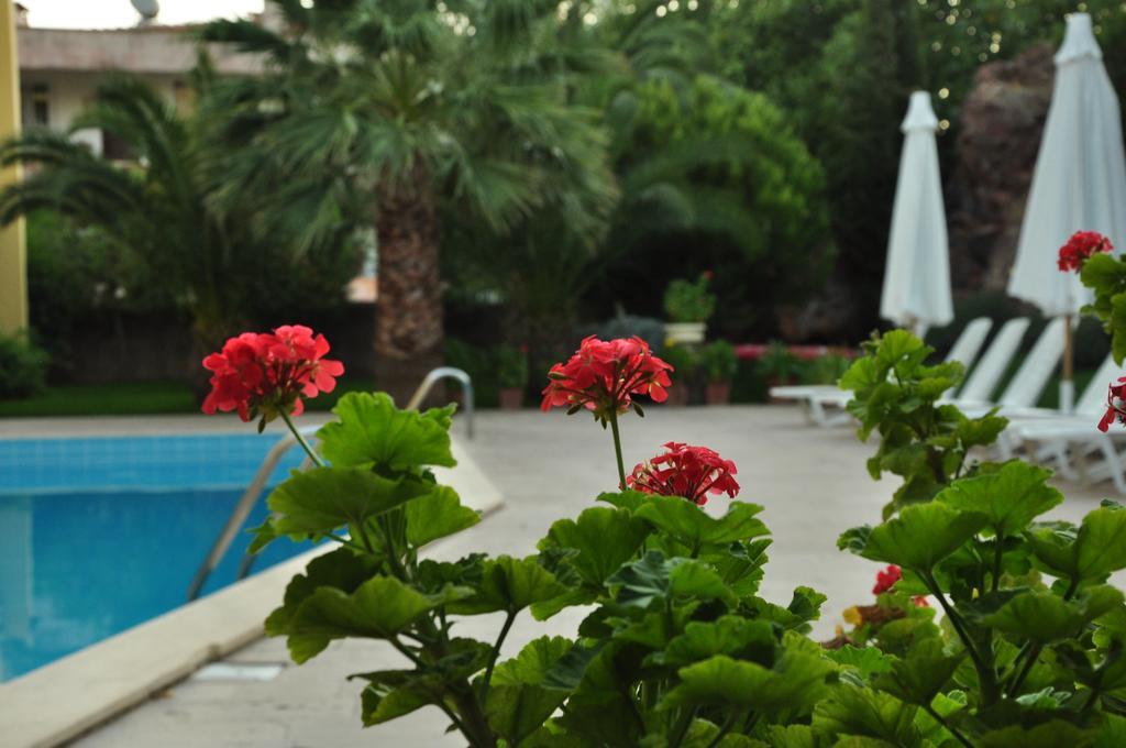 Palm Court Suites Ayvalik Exterior foto