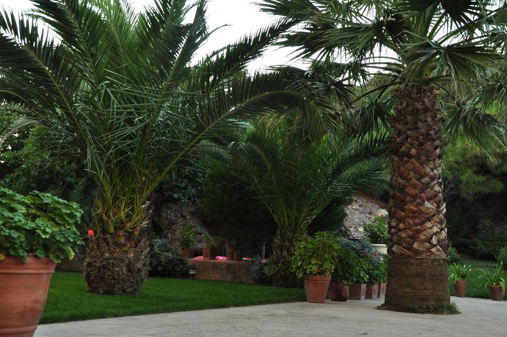 Palm Court Suites Ayvalik Exterior foto