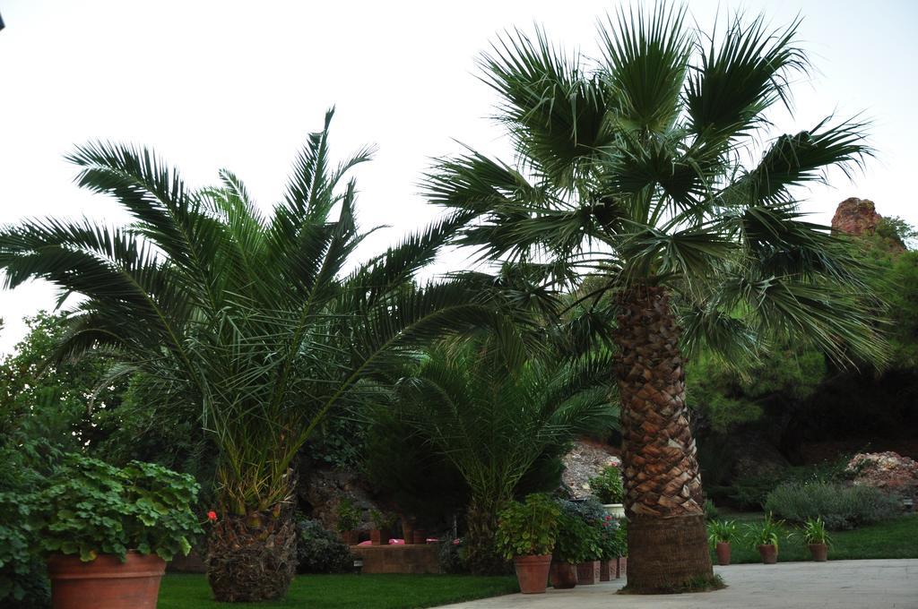 Palm Court Suites Ayvalik Exterior foto