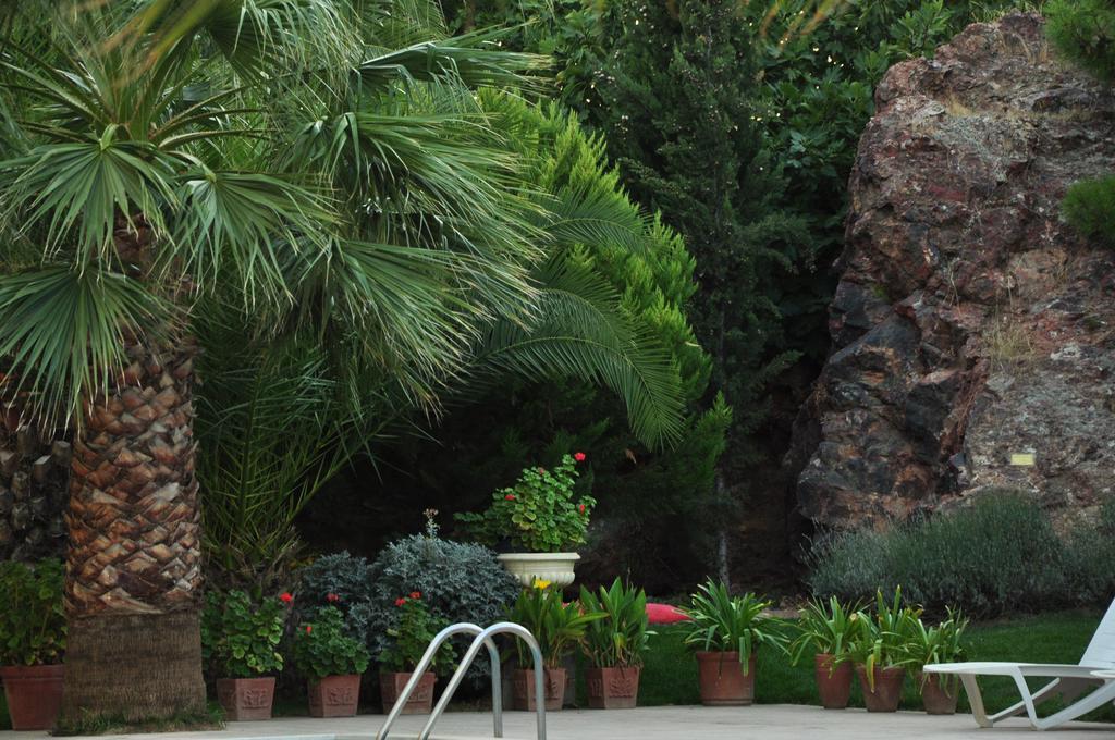 Palm Court Suites Ayvalik Exterior foto